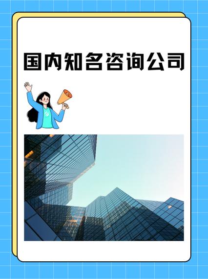 国内知名咨询公司